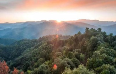 誉满杏林扬国粹 胸怀天下济苍生 中国当代名医——邱胜亮